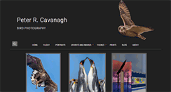 Desktop Screenshot of petercavanagh.us